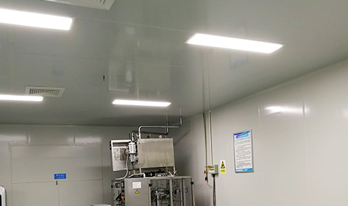 四川諾高美生物科技有限責任公司廠房裝修工程案例