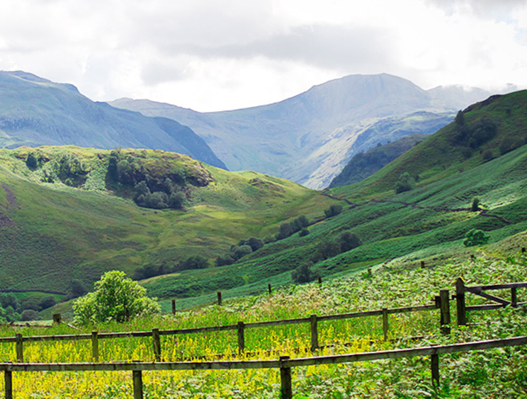 四川鄉巴佬農牧集團有限公司